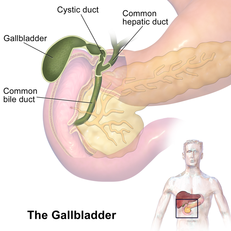 What Treatments Are Available for Gallbladder Problems?