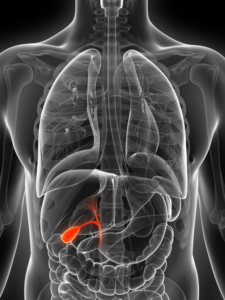 What Treatments Are Available for Gallbladder Problems?