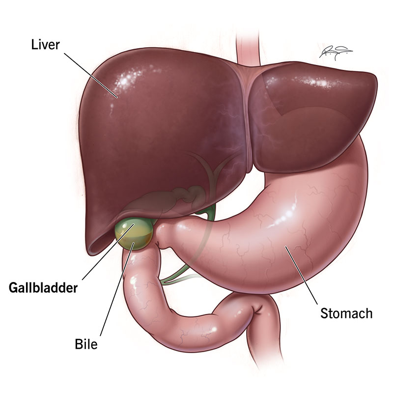 What Treatments Are Available for Gallbladder Problems?