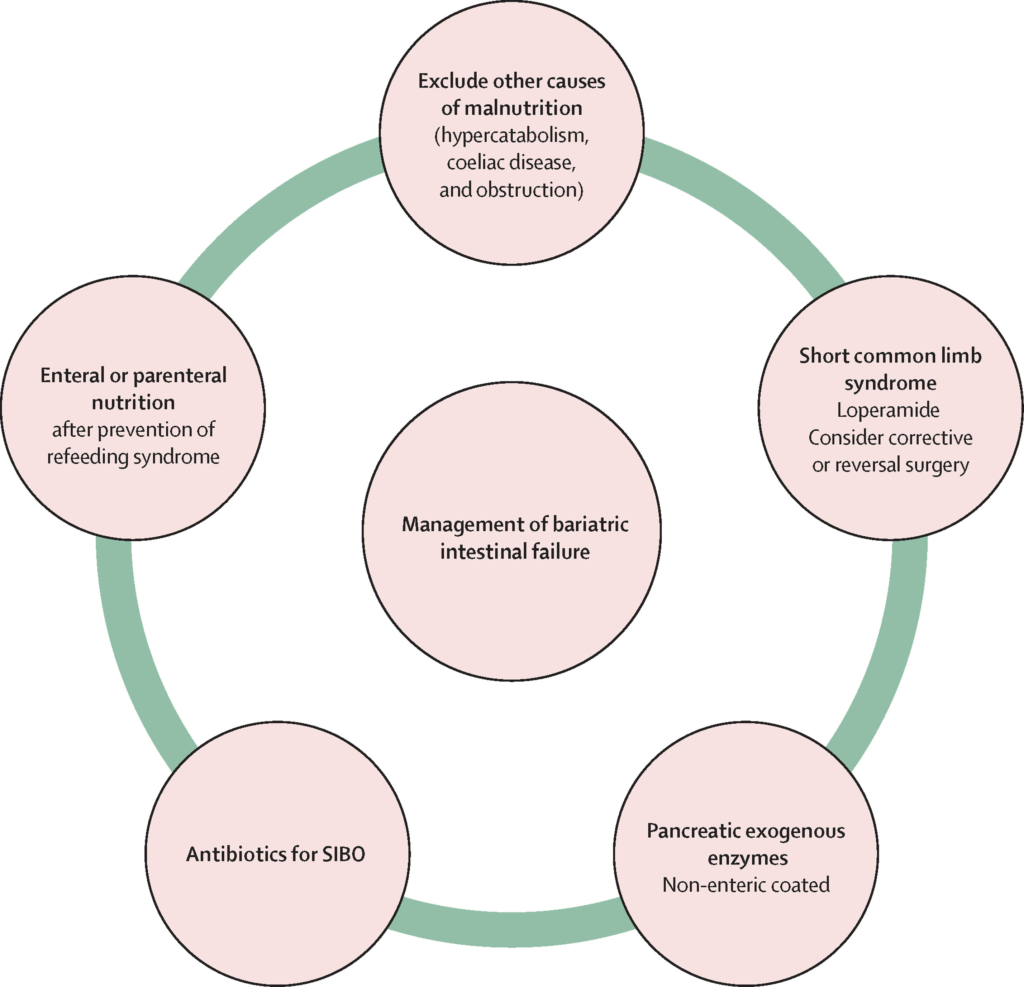 Bariatric Nutrition Counseling in Indore – Expert Guidance from Dr. Nikunj Jain 2 image 36