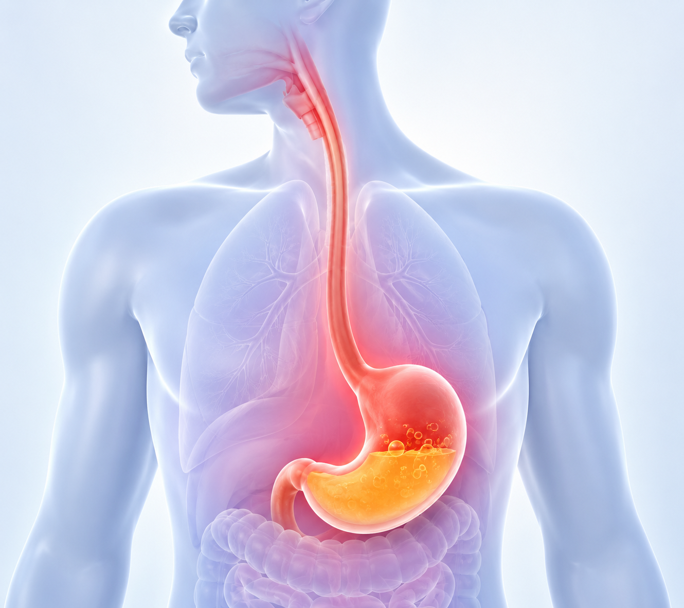 Dr. Nikunj Jain, best hernia doctor in Indore, best laparoscopic surgeon in Indore, hernia treatment in Indore, piles treatment in Indore, piles doctor in Indore, best piles doctor in Indore, gastroenterologist in Indore, weight loss clinic in Indore, weight loss doctor in Indore, best weight loss doctor in Indore, best bariatric surgeon in Indore, bariatric doctor in Indore, best weight loss surgeon in Indore
