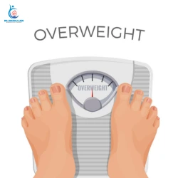 Obesity and Heart Disease Risk